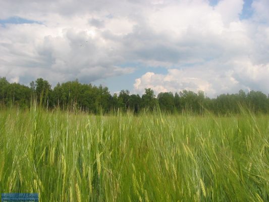 Klikni za ogled večje slike
