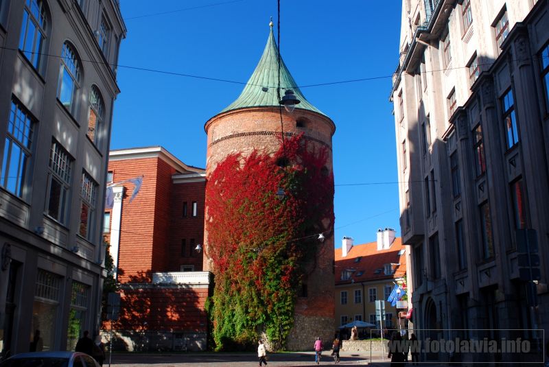 Klikni za ogled večje slike